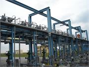 Banatski dvor slika05